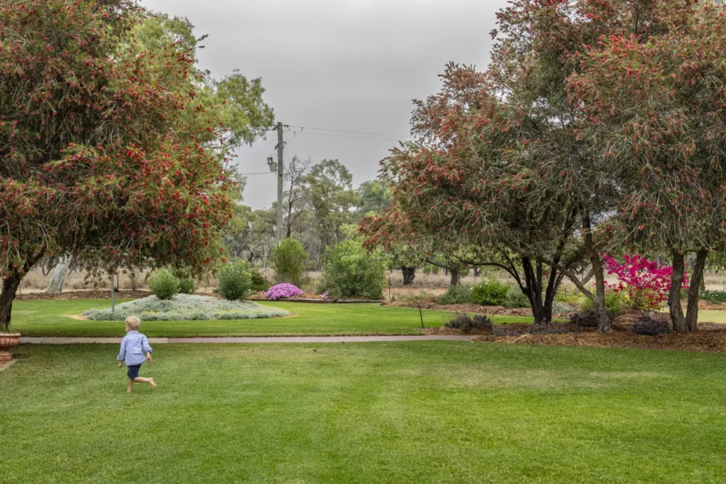 Outback flora at Francvillers Station — a 50,000-acre property featured in Australian Country Magazine