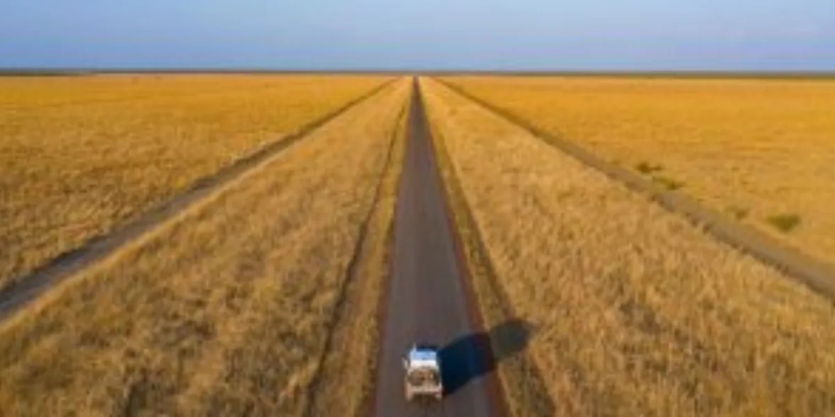 7-day Outback road trip from Sydney to Cunnamulla