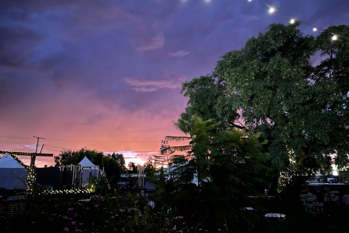 A pink and purple sunset sky over the hotel garden trees, with festoon lights strung overhead.