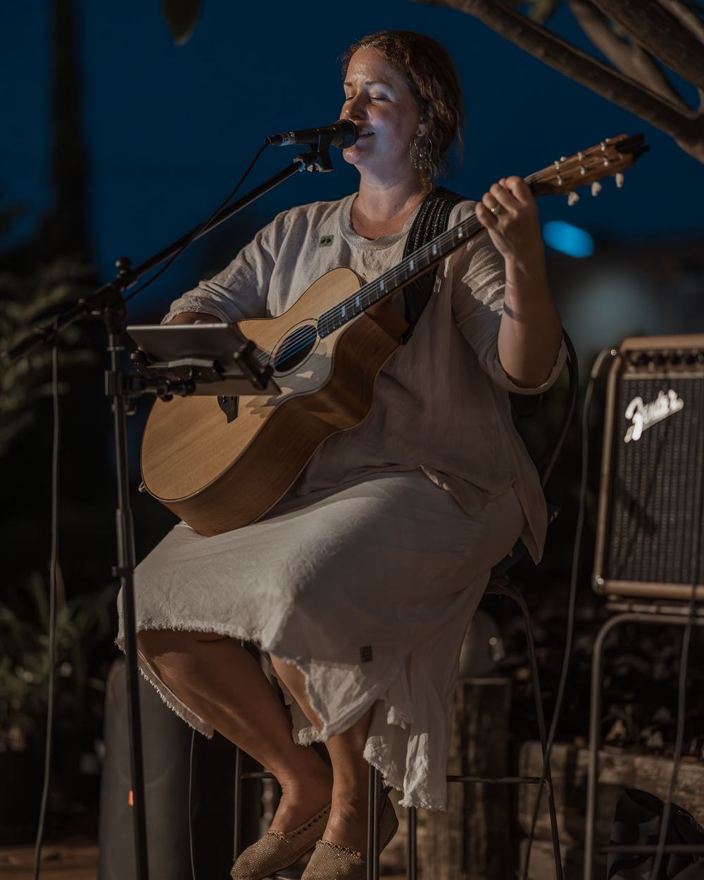 A singer playing guitar on a stool at dusk beneath tree branches, against a deep blue sky.