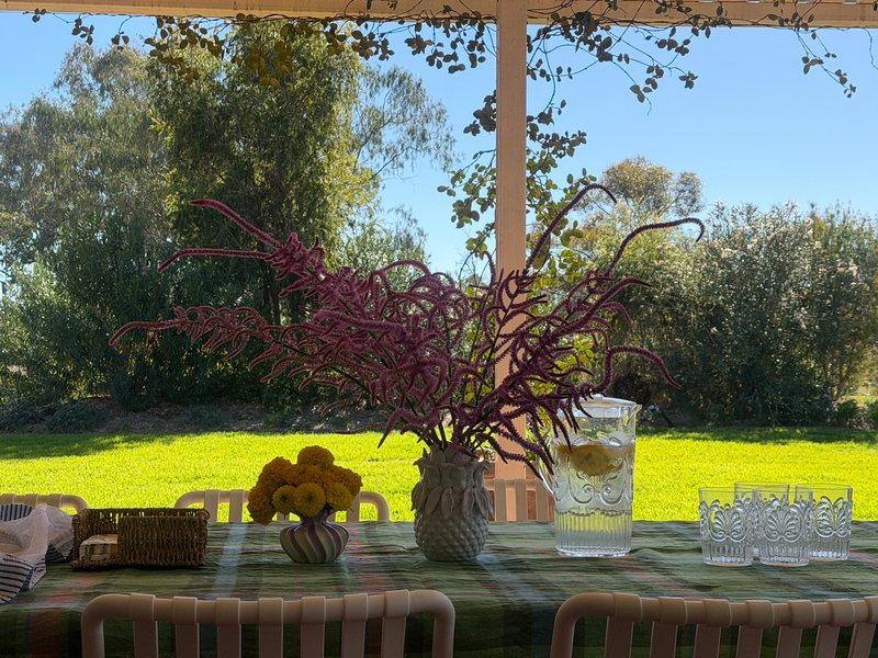 A shaded verandah table set with a jug of lemon water, glasses and a tall vase of flowers, green lawn beyond.