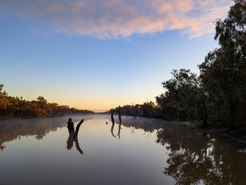 Mist lies on a still river at dawn, dead snags and gum trees reflected under pink cloud.