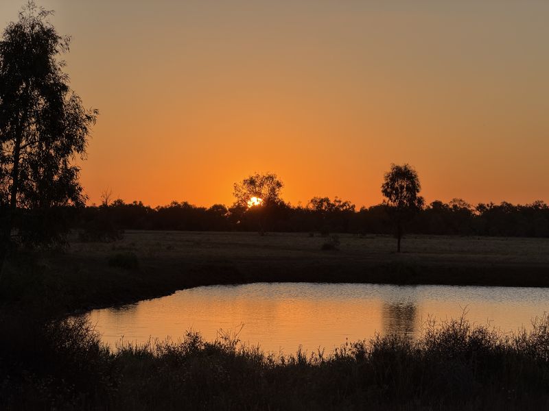 The sun sinks into a line of trees beyond a farm dam, the orange sky mirrored in still water.