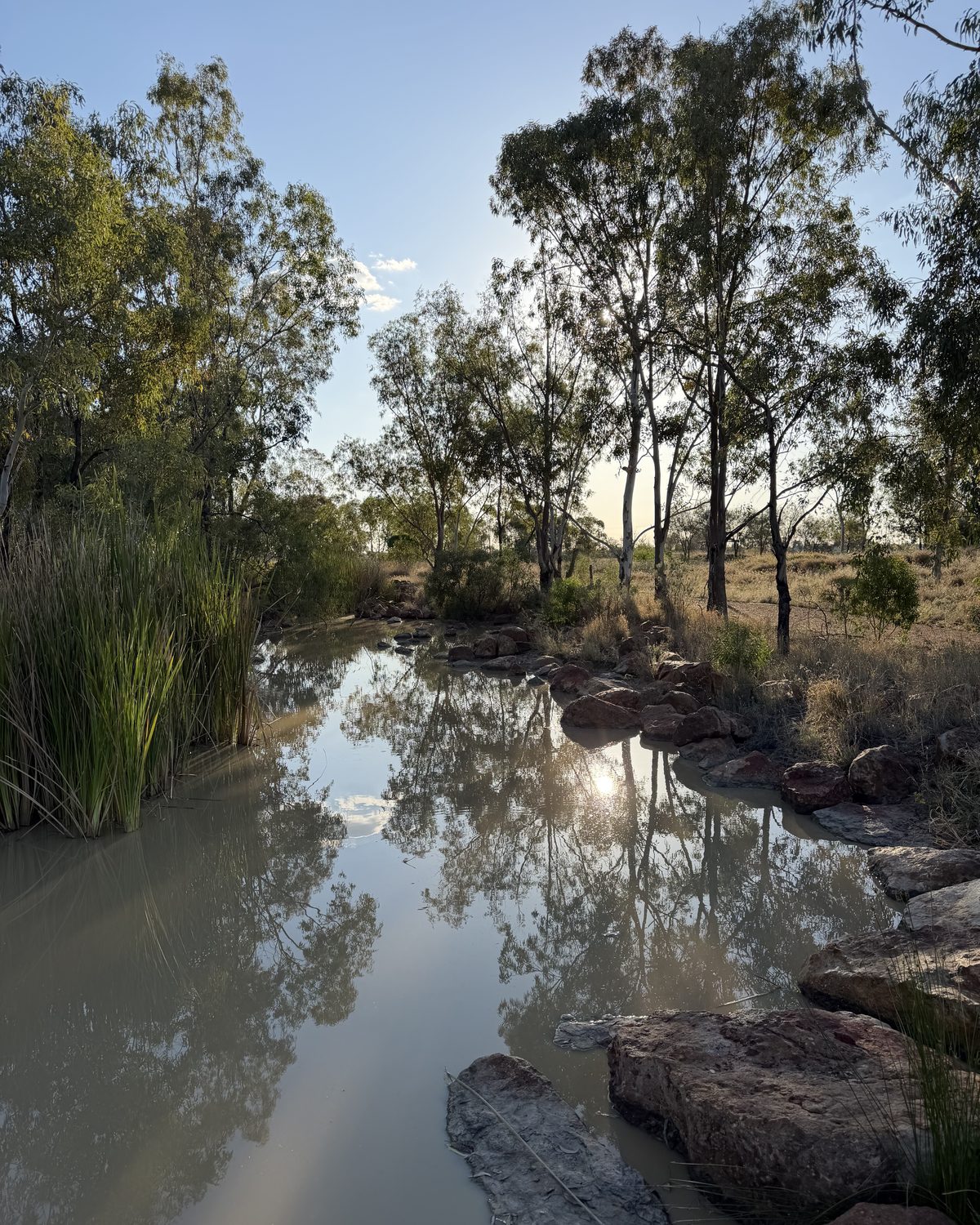 Late light on still water, gums reflected along the bank.